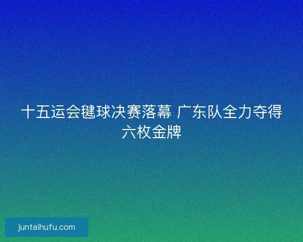 十五运会毽球决赛落幕 广东队全力夺得六枚金牌
