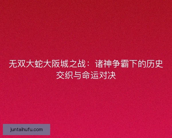 无双大蛇大阪城之战：诸神争霸下的历史交织与命运对决